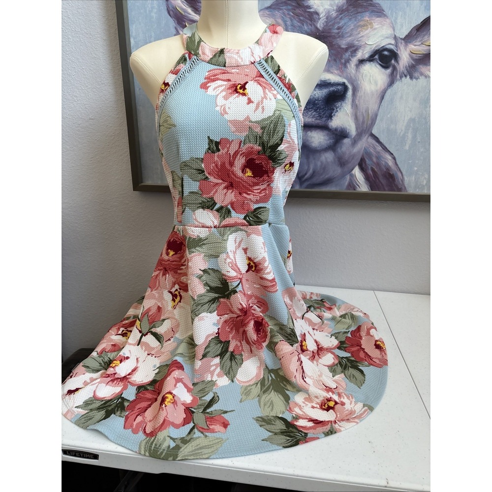 Crystal Doll‎ Juniors Size 3 Blue Pink Floral Racer Back Midi Sleeveless Dress